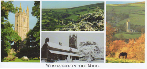 P058 - Widecombe Views - Postcard - Panoramic - Pack of 10