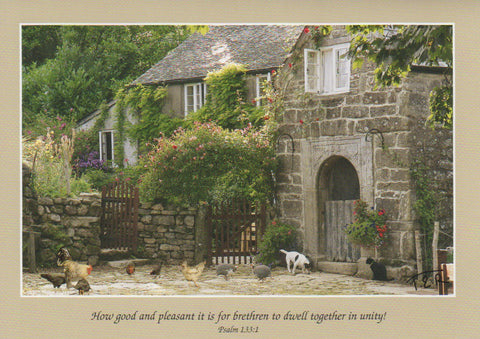 S063 - Farmyard - Scripture Card - Rectangle