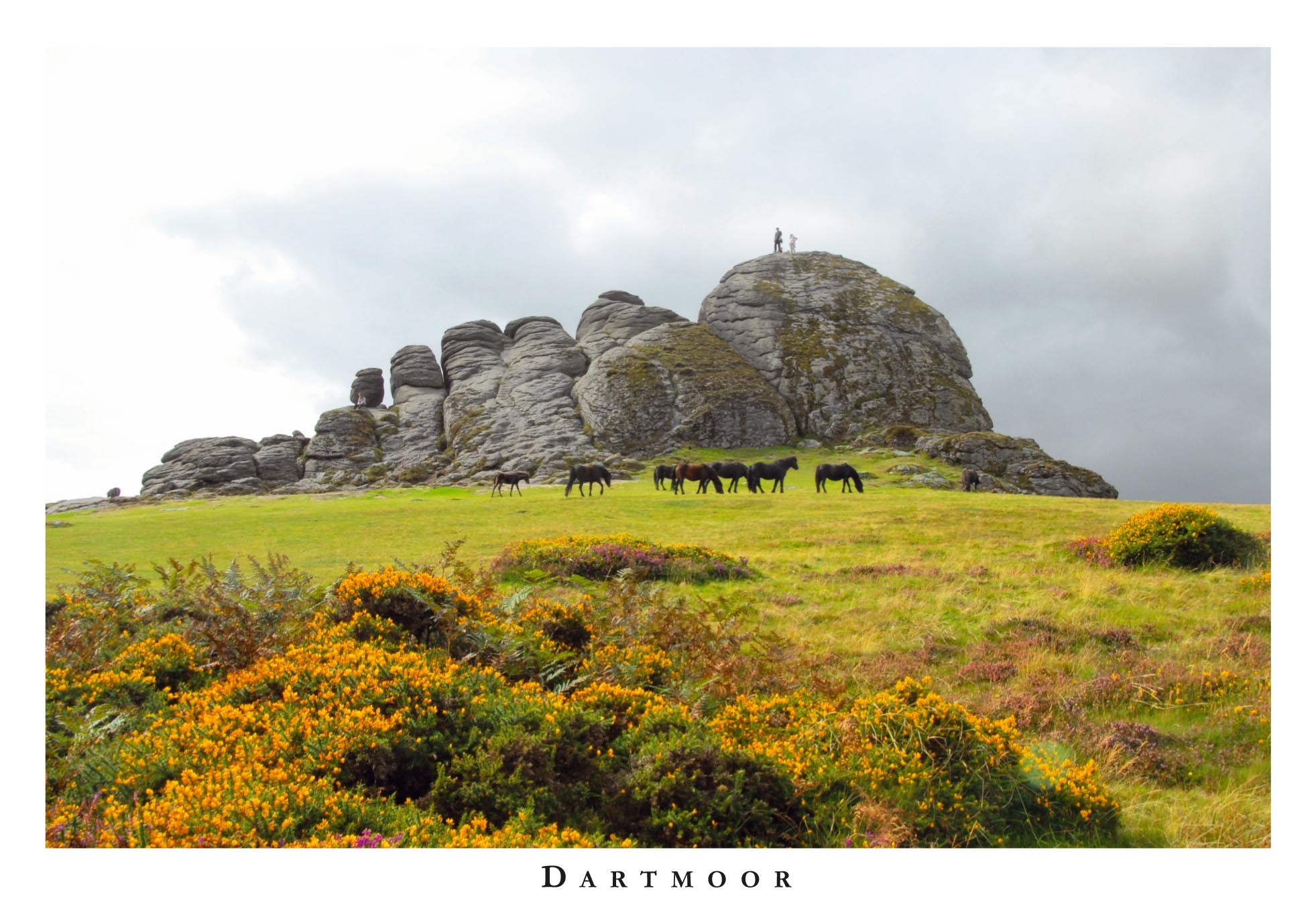 P064 - Haytor Layout - Postcard - Regular - Pack of 10