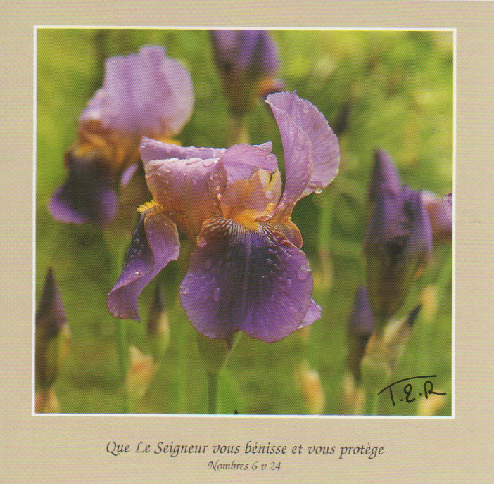 FS068 - Iris - French Scripture Card - Square