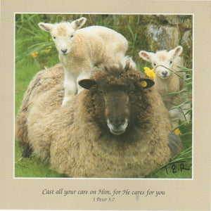 S069 - Ewe and Lambs - Scripture Card - Square