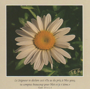 FS071 - Margherite - French Scripture Card - Square