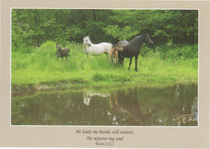 S081 - Pony Reflections - Scripture Card - Rectangle