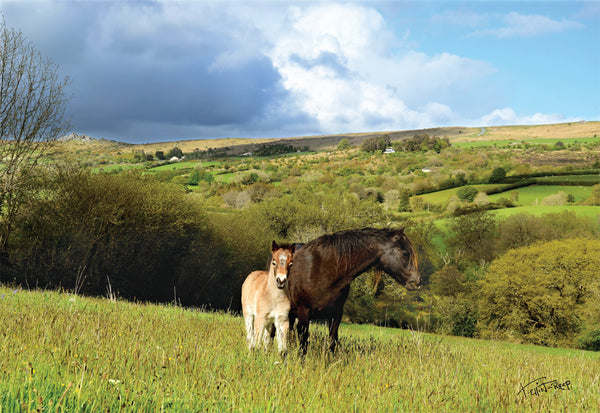 CA018 - Dartmoor 2018 Calendar