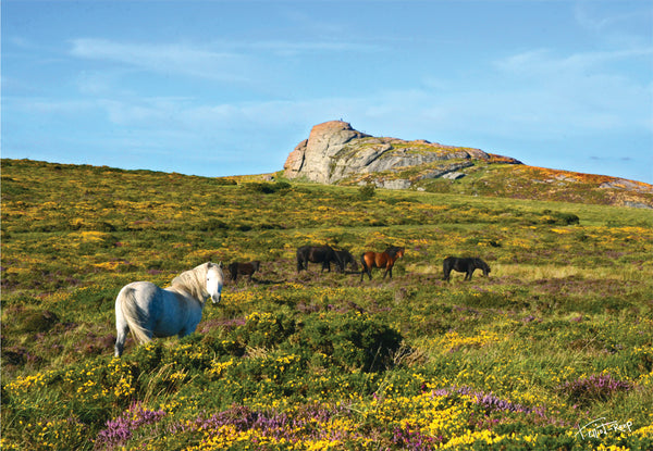 CA018 - Dartmoor 2018 Calendar