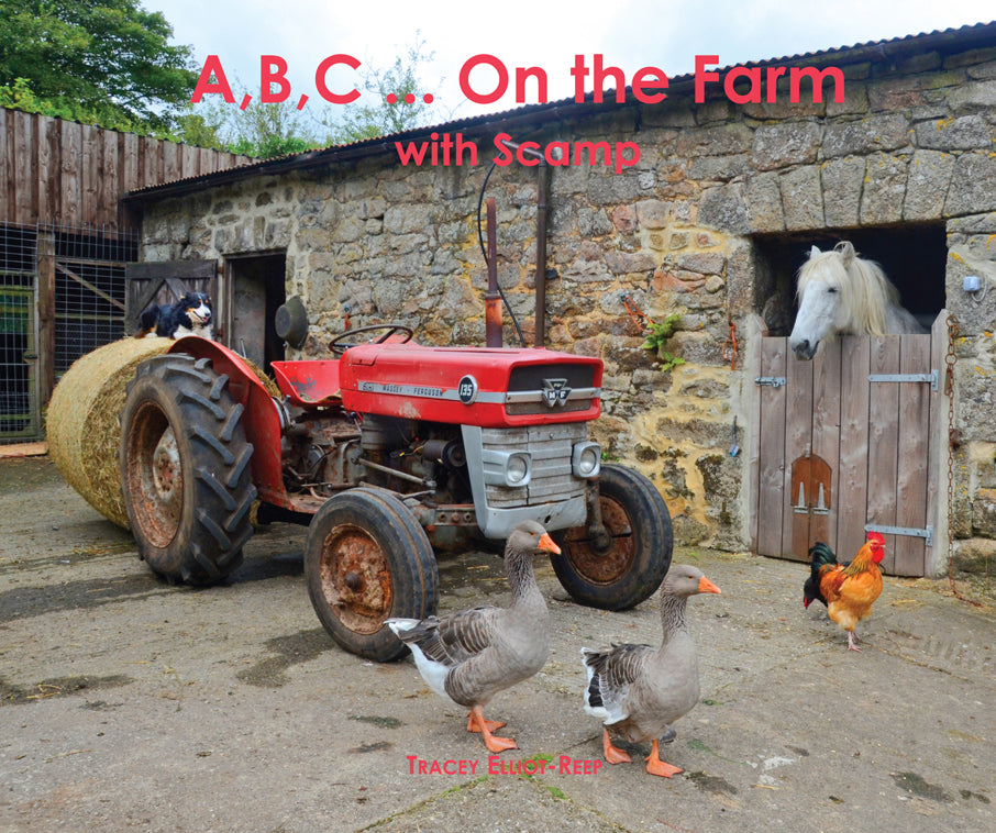 B34 - A,B,C ... On the Farm with Scamp - Flexi-cover Book