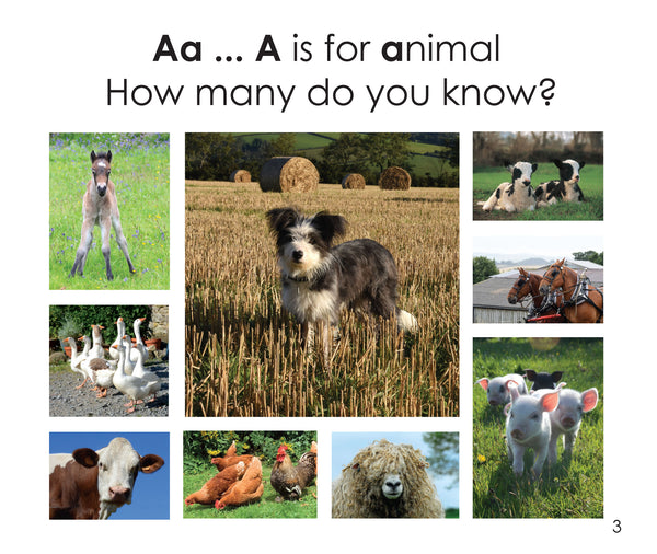 B34 - A,B,C ... On the Farm with Scamp - Flexi-cover Book