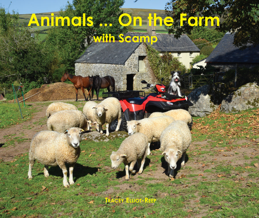 B33 - Animals ... On the Farm with Scamp - NEW - Flexi-cover Book