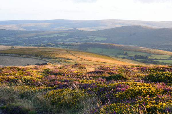 CA021 - Dartmoor 2021 Calendar