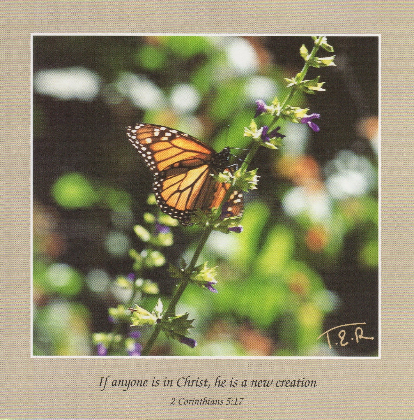 S077 - Butterfly - Scripture Card - Square