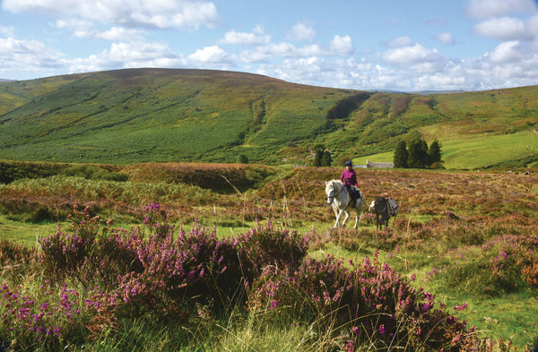 CA023x2 - Dartmoor 2023 Calendar (2 for £19.50)