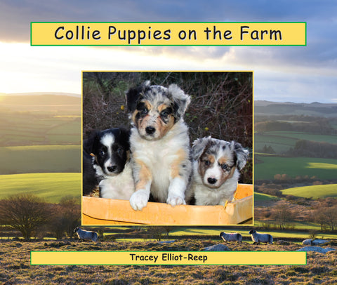 B027 - Collie Puppies on the Farm - Flexi-cover Book
