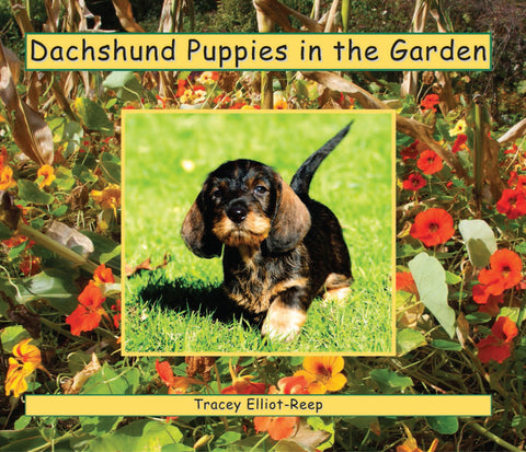 B025 - Dachshunds Puppies in the Garden - Flexi-Cover Book