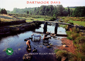 B18 - Dartmoor Days - Flexi-Cover Book
