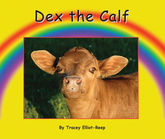 B11 - Dex the Calf - Flexi-Cover Book
