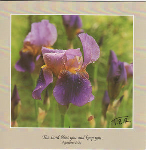 S068 - Iris - Scripture Card - Square