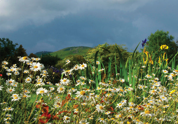 CA018 - Dartmoor 2018 Calendar