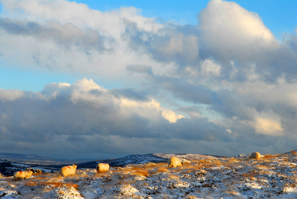 CA021 - Dartmoor 2021 Calendar