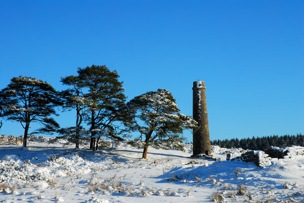 CA021 - Dartmoor 2021 Calendar