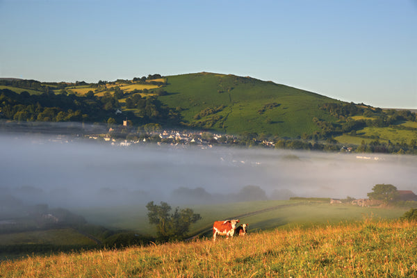 CA021 - Dartmoor 2021 Calendar