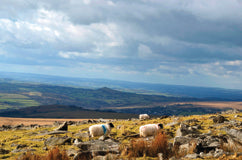 CA021 - Dartmoor 2021 Calendar