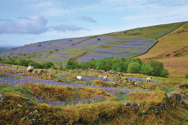 CA022 - Dartmoor 2022 Calendar