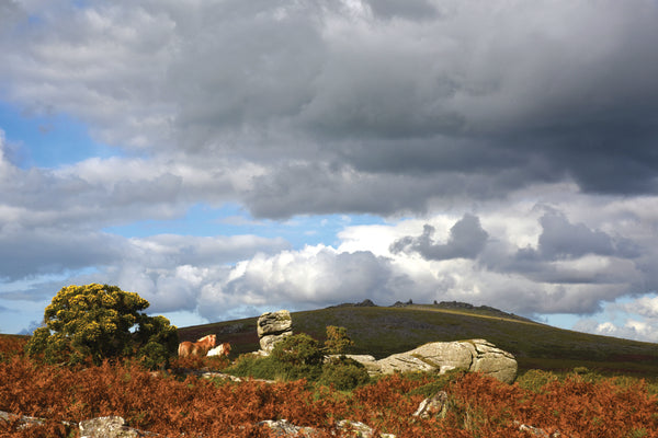 CA022 - Dartmoor 2022 Calendar