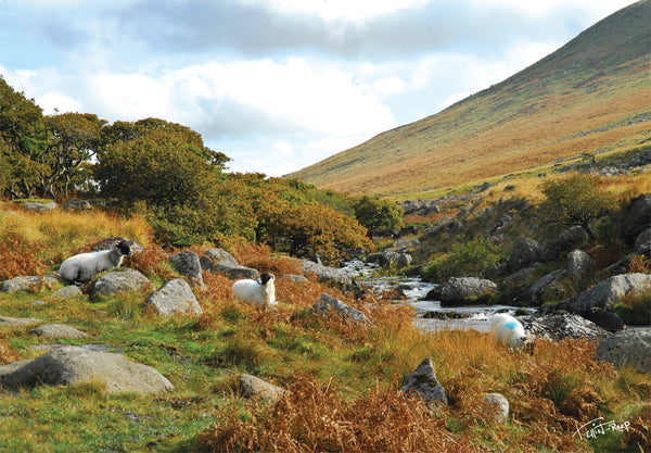 CA018 - Dartmoor 2018 Calendar