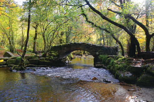 CA021 - Dartmoor 2021 Calendar