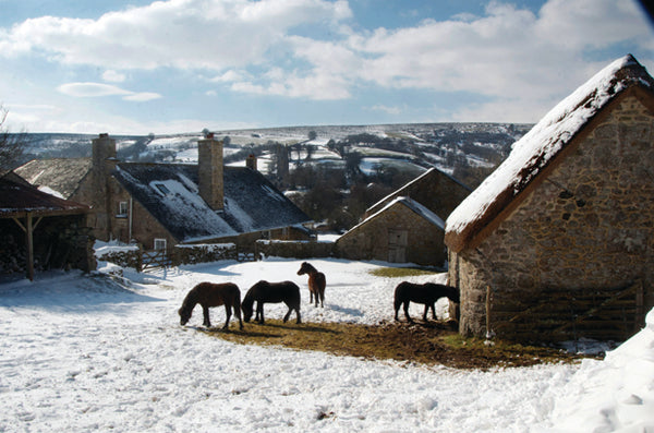 CA021 - Dartmoor 2021 Calendar