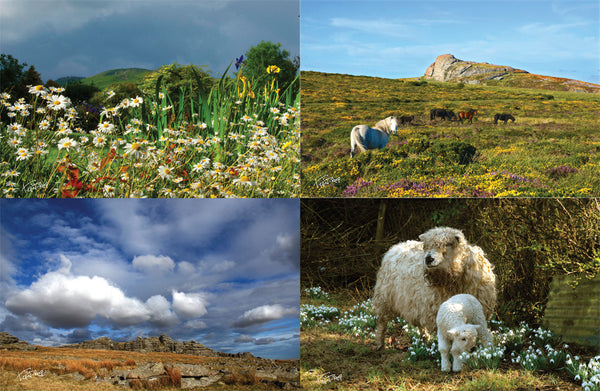 CA018 - Dartmoor 2018 Calendar