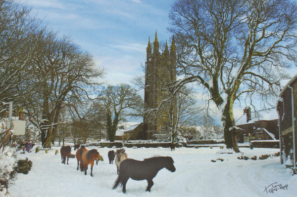 CC015 - Series 15 - Christmas Cards - Including 4 Different Photos with Ponies - Pack of 10