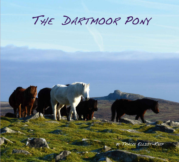 B06 - The Dartmoor Pony Book - Inc 2 Free Pony Bookmarks