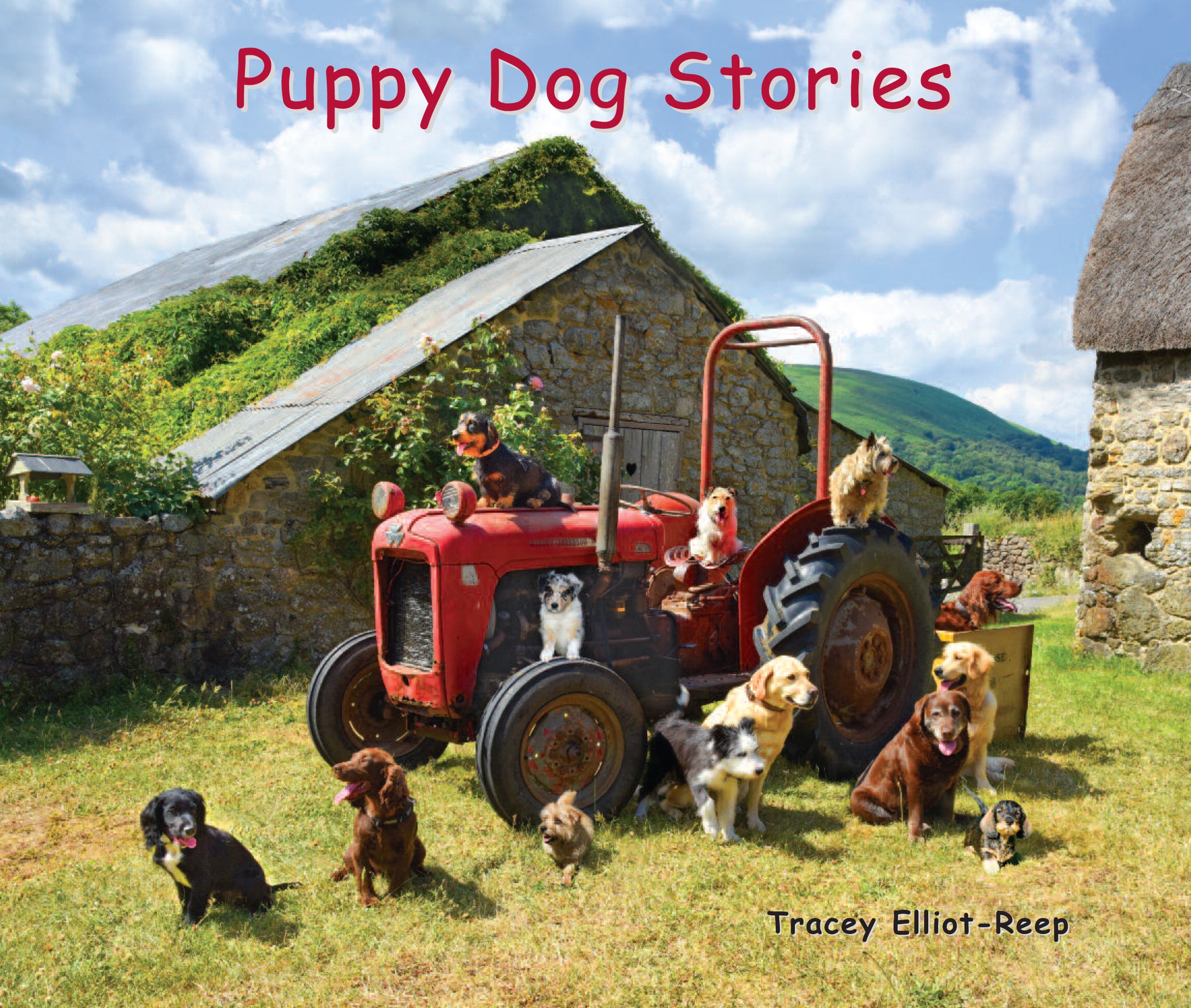 B024- Puppy Dog Stories - Boxset of all 5 Flexi-Cover Books Plus a free book 'A Day On Dartmoor with Rainbow the Pony' worth £5.95