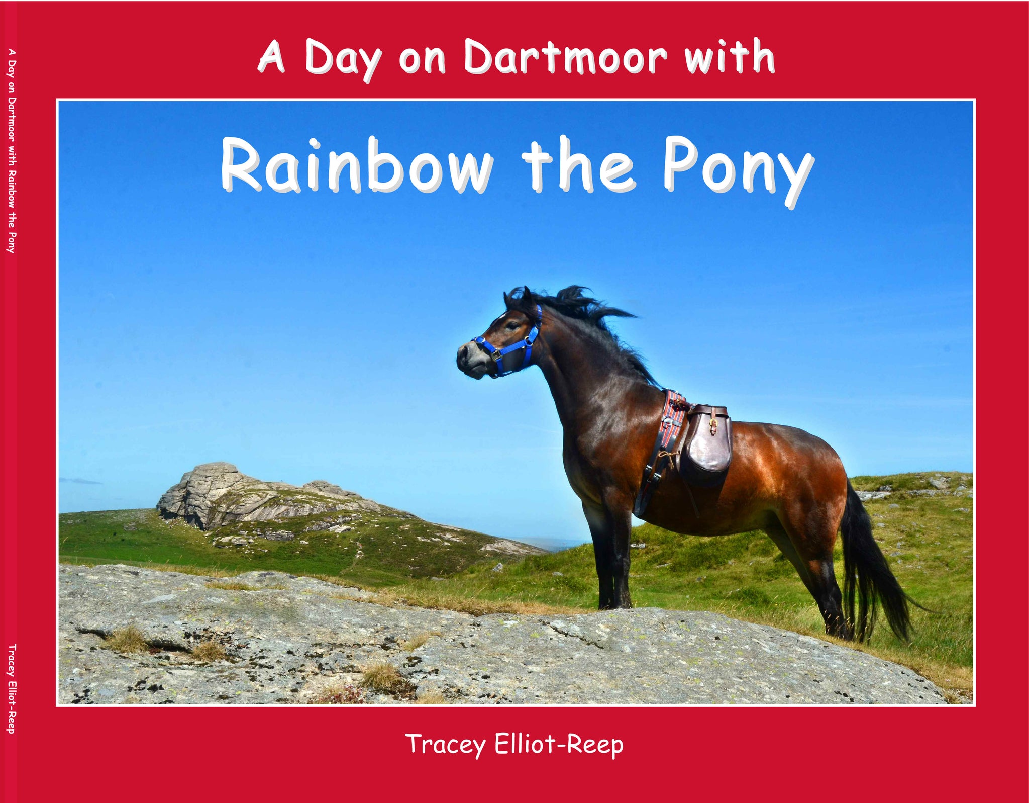 B08 - A Day on Dartmoor – Rainbow the Pony - Paperback Book