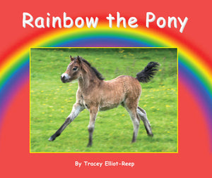 B10 - Rainbow the Pony - Flexi-Cover Book