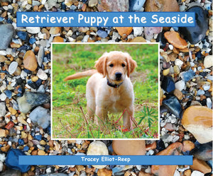 B026 - Retriever Puppy at the Seaside - Flexi-Cover Book