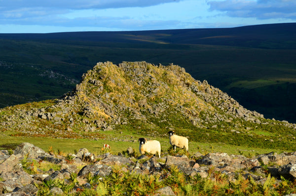 CA021 - Dartmoor 2021 Calendar