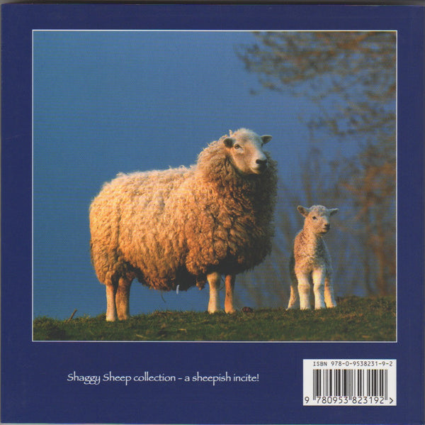 B05 - The Shaggy Sheep Book - Flexi Cover