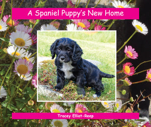 B028 - A Spaniel Puppy's New Home - Flexi-cover Book