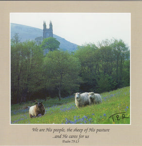 S046 - Spring Pastures - Scripture Card - Square