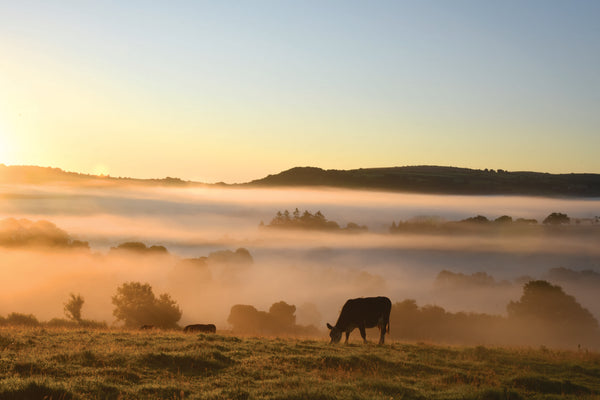 CA023 - Dartmoor 2023 Calendar