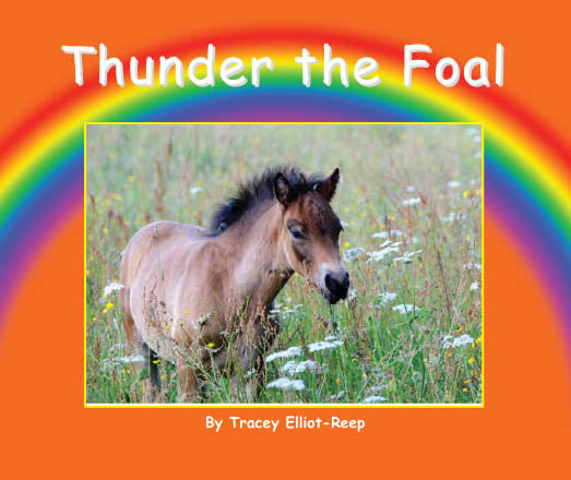 B17 - Thunder the Foal - Flexi-Cover Book