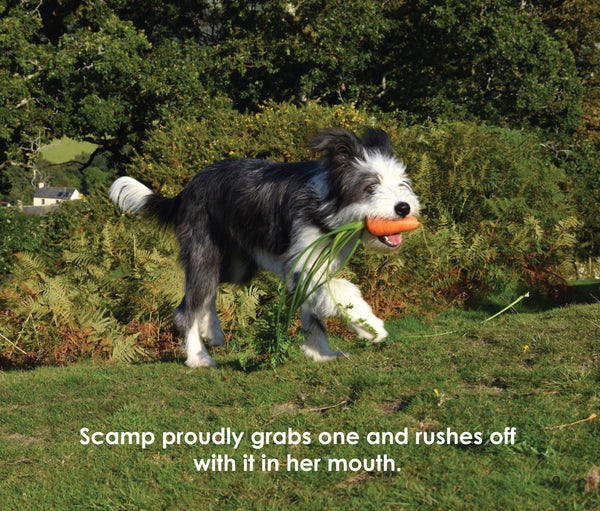 B31 - What grows ... On the Farm with Scamp -Flexi-cover Book